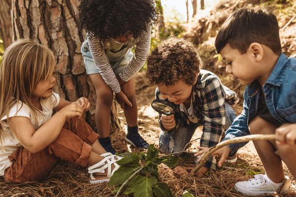 kids_playing_together_in_a_forest_600x600